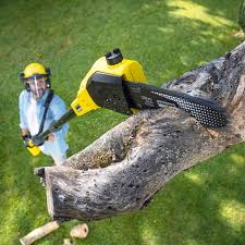 Best Emergency Tree Removal  in Fenton, MO